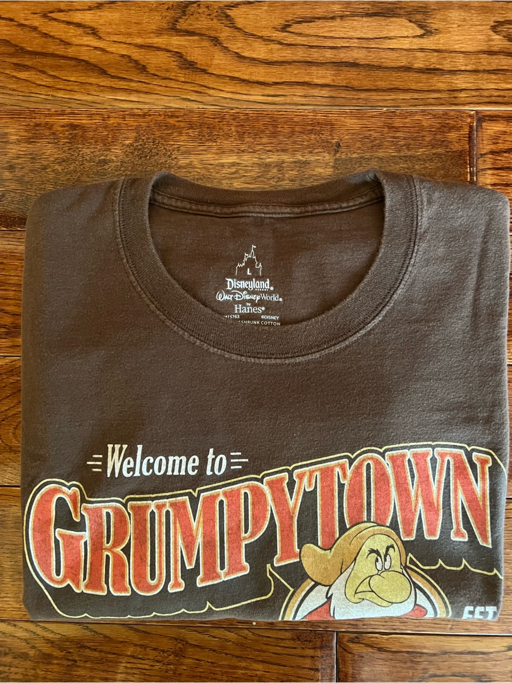 Disney World T-shirt Grumpytown Graphic Cotton Tee Brown Size L